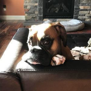 Meet your Posher, Sam